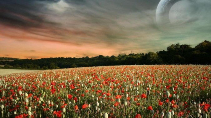 无论多慢一跑步心率就飙升，可不可以先快走一个月？